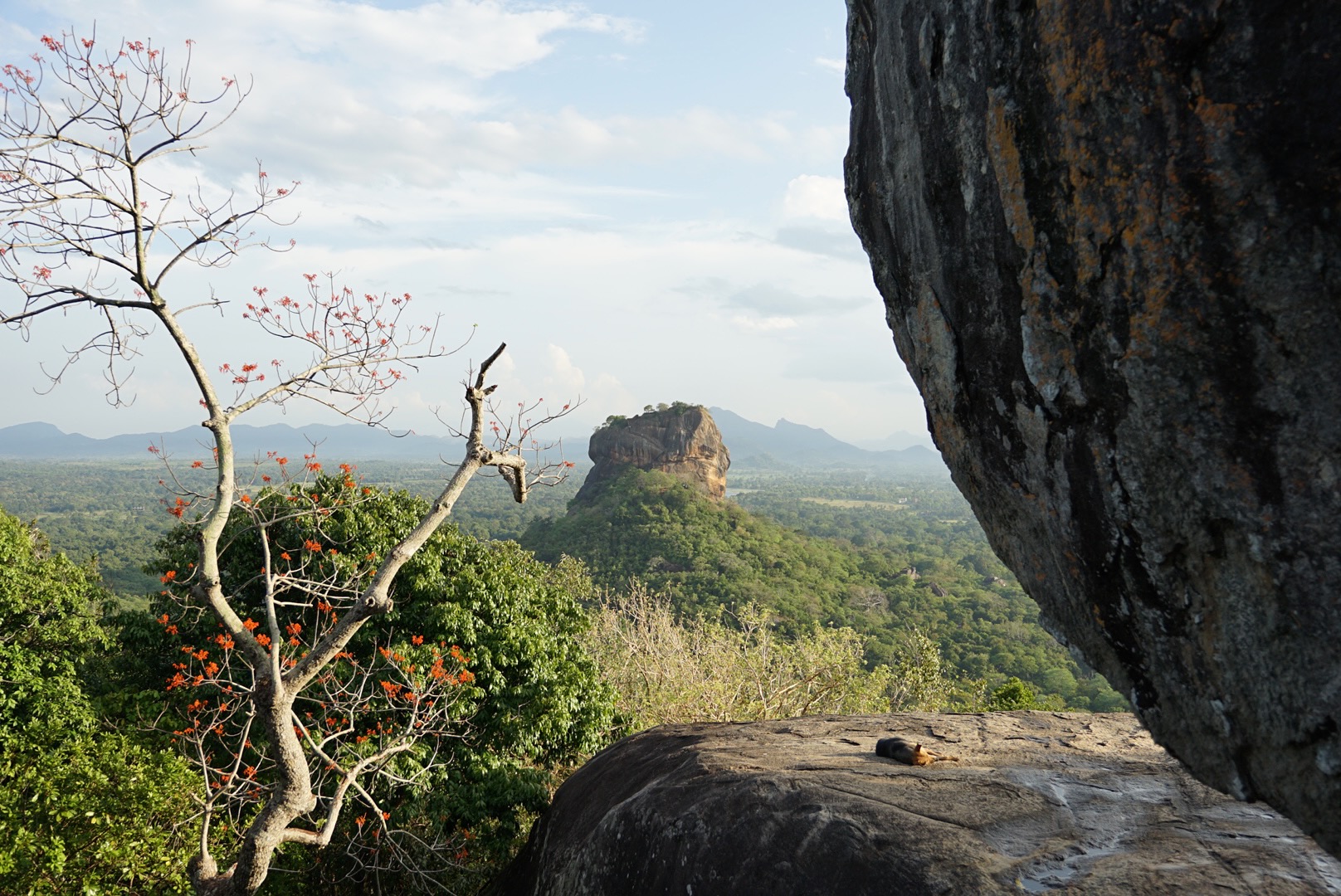 Sri Lanka