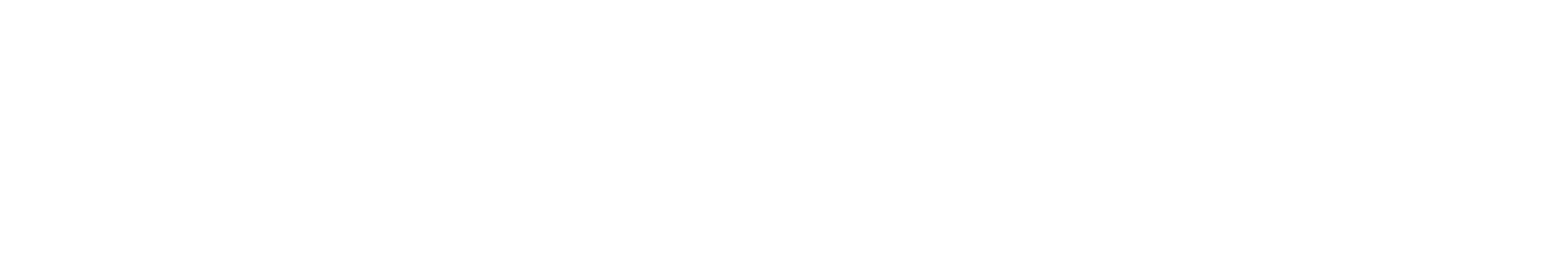 Travel Experts
