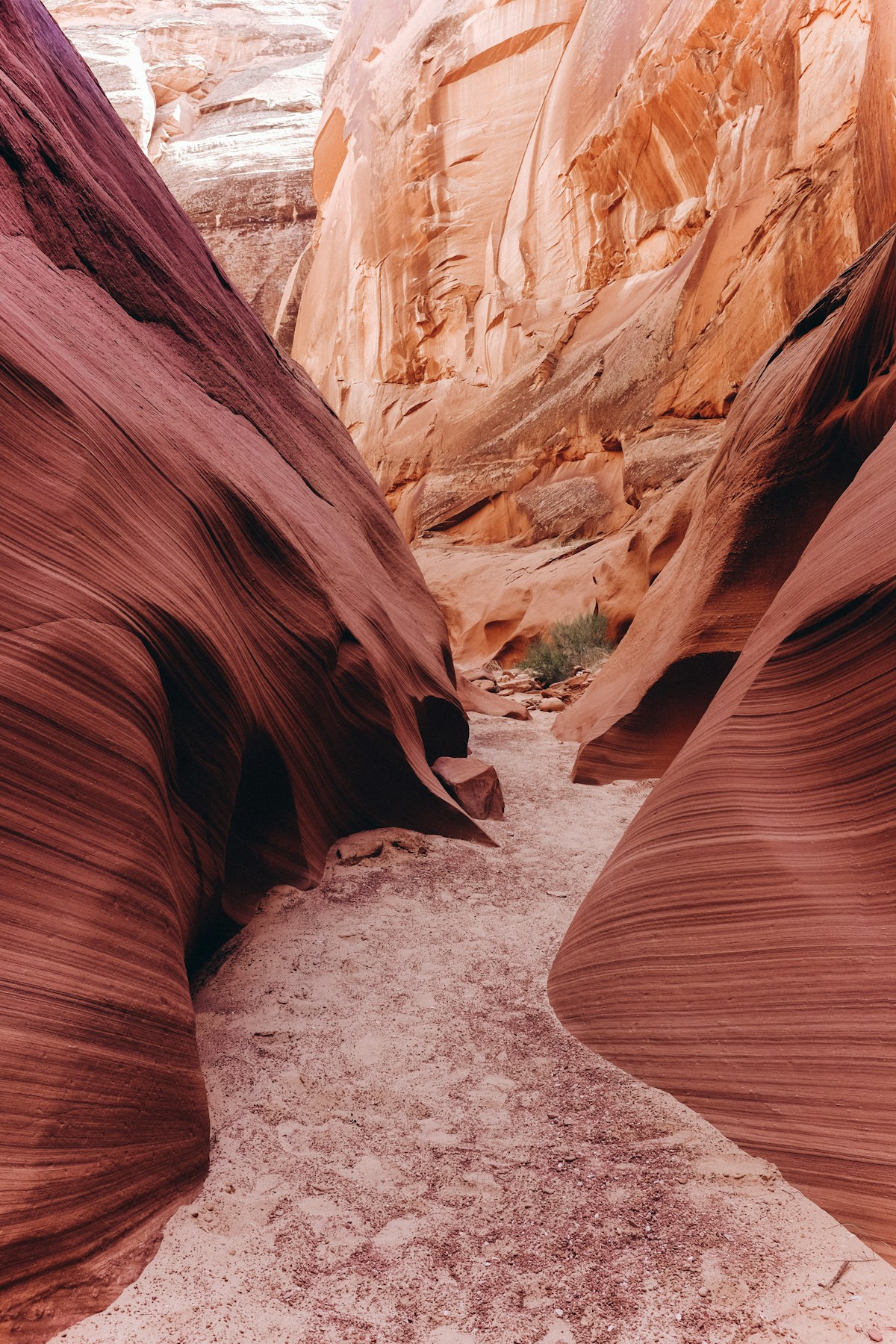 Grand Canyon landmark, Arizona, USA