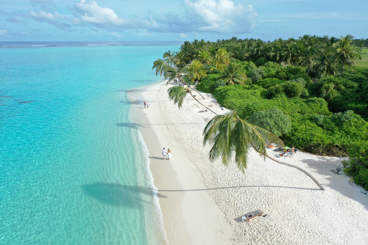 Beautiful beach with turquoise water and palm trees.