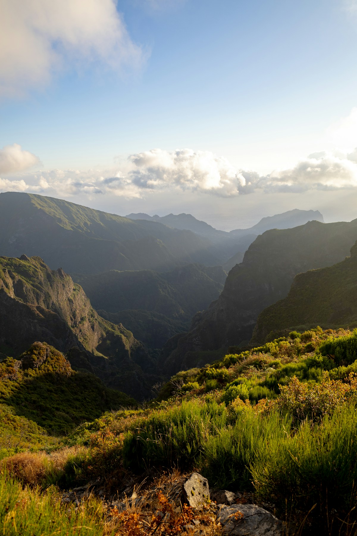 A view of a valley with mountains in the background