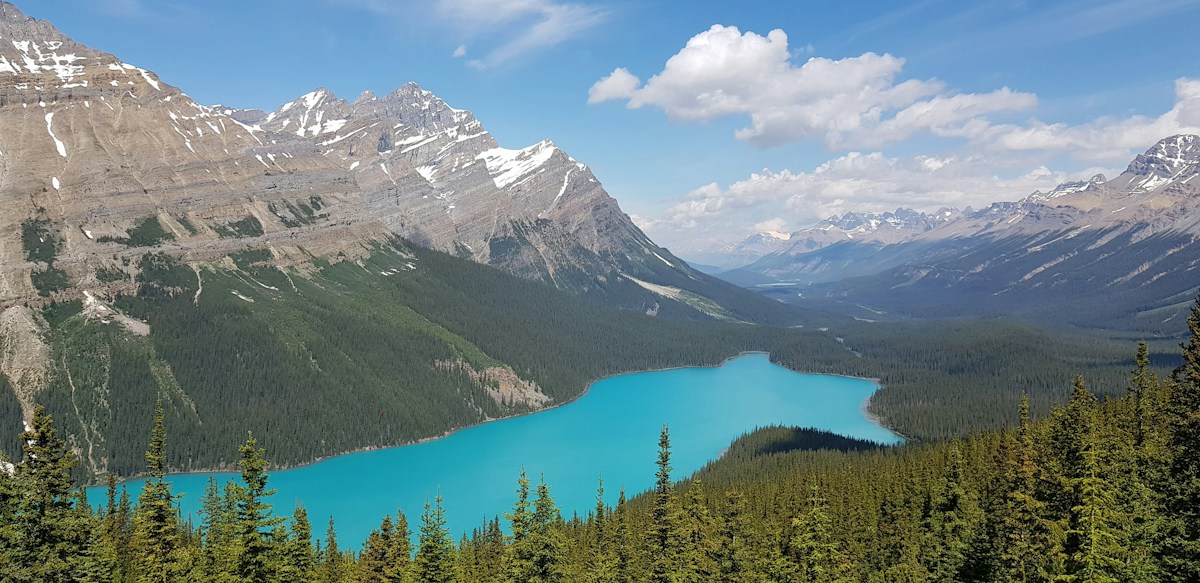Peyto Lake in Banff National Park, Canada