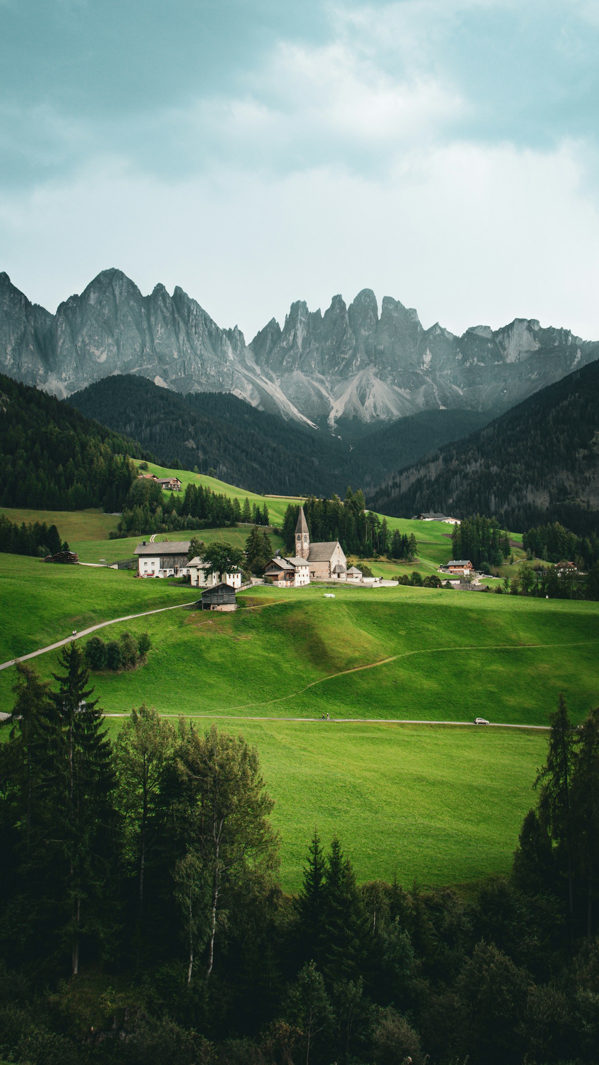 A green field with mountains in the background