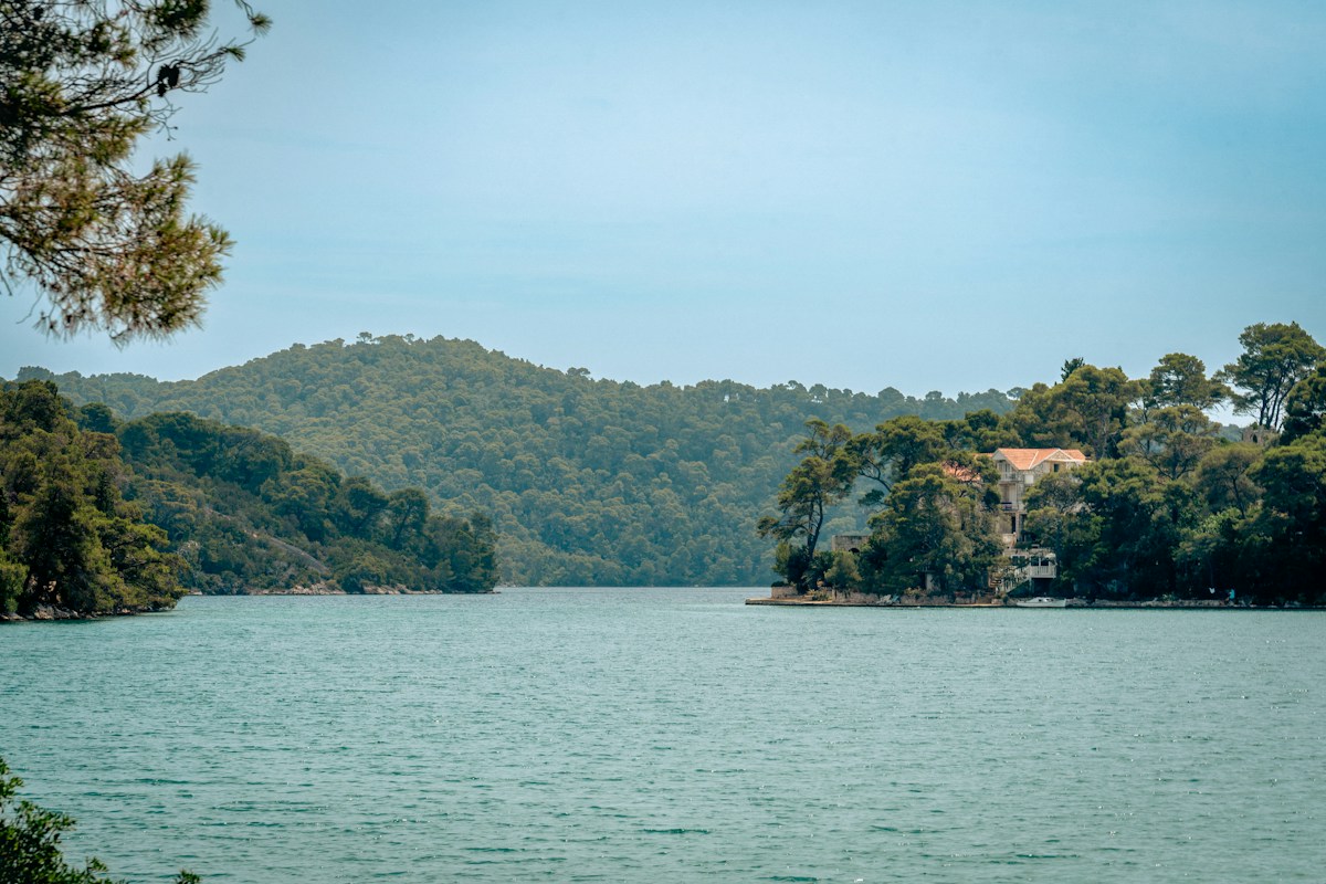 A serene lake is surrounded by lush, green trees.